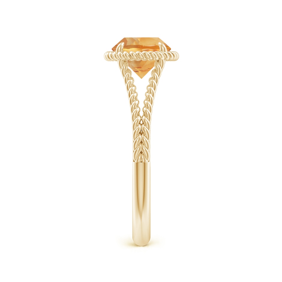 7mm A Citrine Twist Rope Split Shank Ring in Yellow Gold side 299