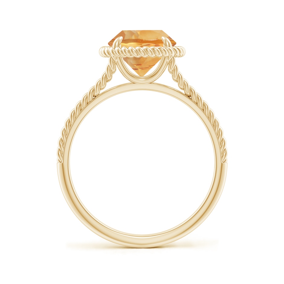 8mm A Citrine Twist Rope Split Shank Ring in Yellow Gold side 199