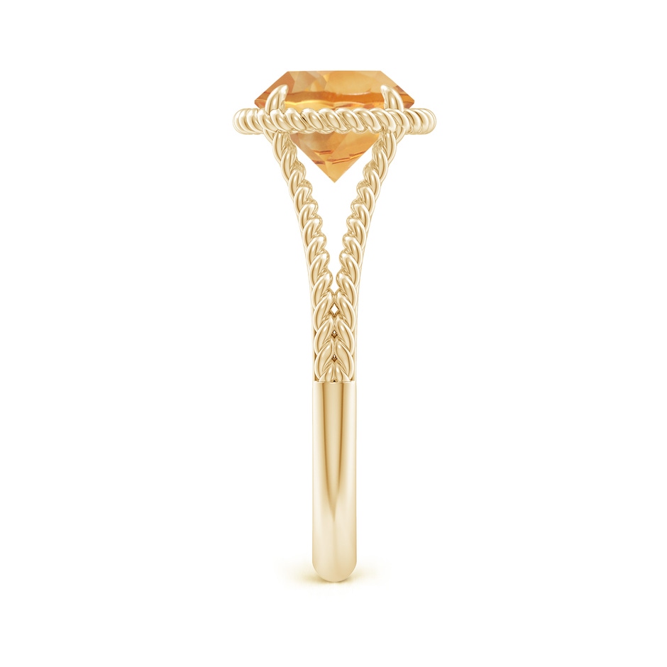 8mm A Citrine Twist Rope Split Shank Ring in Yellow Gold side 299