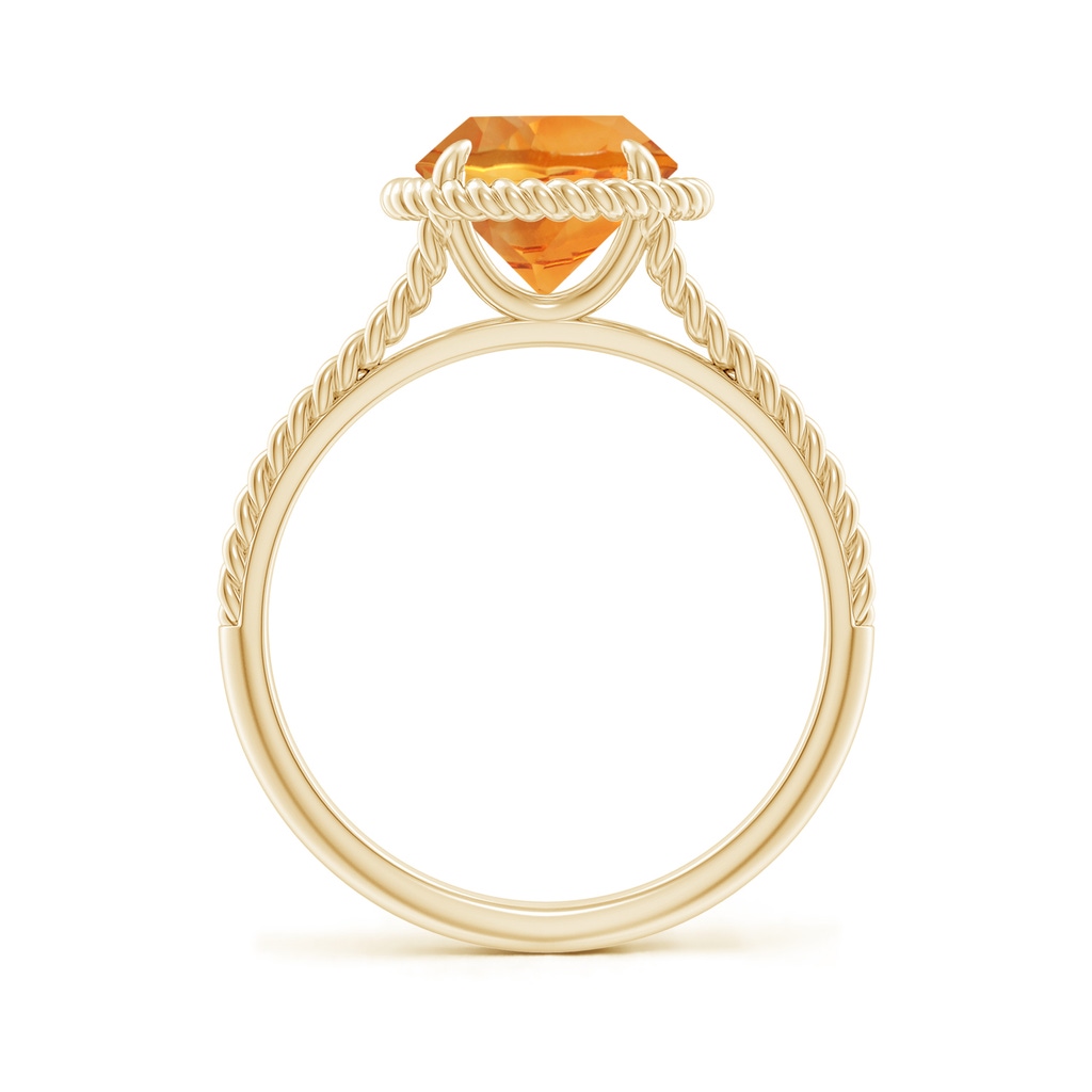 8mm AAA Citrine Twist Rope Split Shank Ring in Yellow Gold - side 199