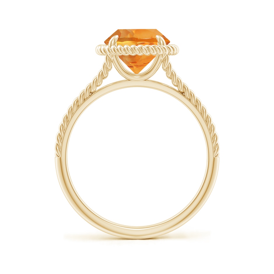 8mm AAA Citrine Twist Rope Split Shank Ring in Yellow Gold side 199