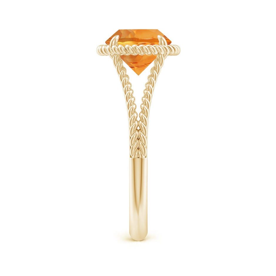 8mm AAA Citrine Twist Rope Split Shank Ring in Yellow Gold side 299