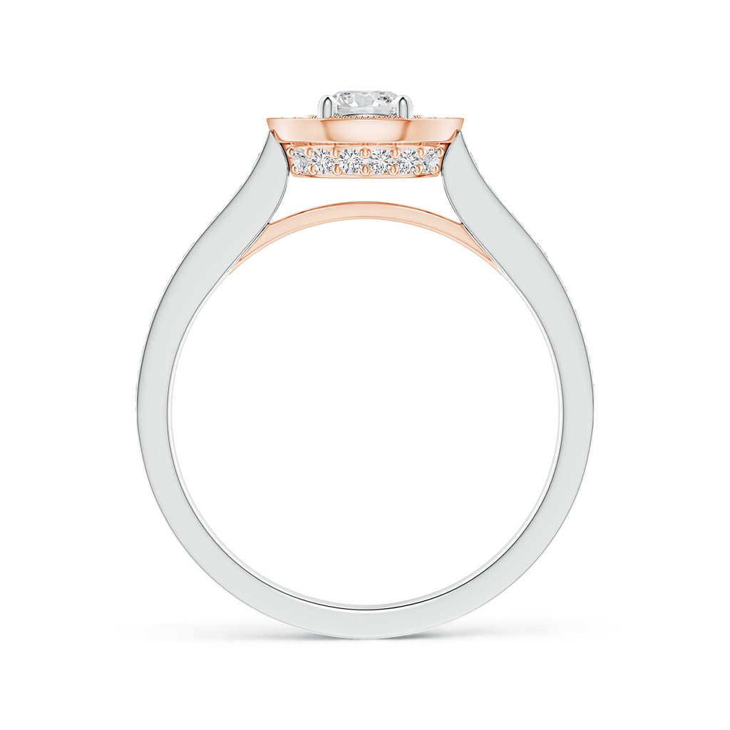 4mm HSI2 Classic Diamond Halo Cathedral Two Tone Ring with Milgrain in White Gold Rose Gold Product Image