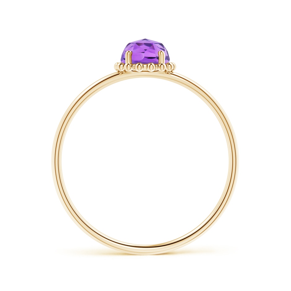 5mm AAA Solitaire Amethyst Ring with Beaded Halo in Yellow Gold side-1