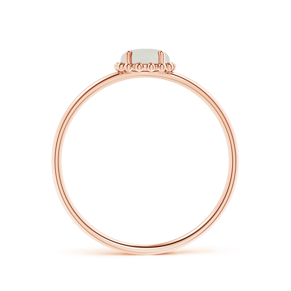 5mm AAAA Solitaire Moonstone Ring with Beaded Halo in Rose Gold side 1