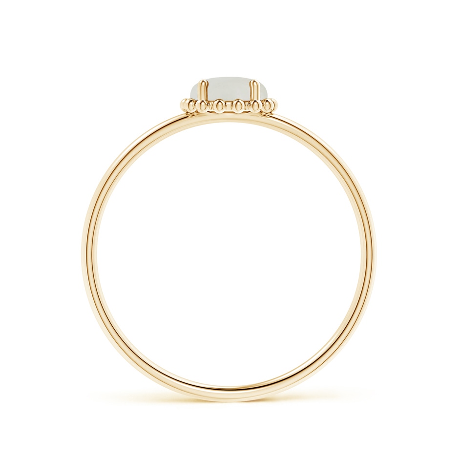 5mm AAAA Solitaire Moonstone Ring with Beaded Halo in Yellow Gold side 1