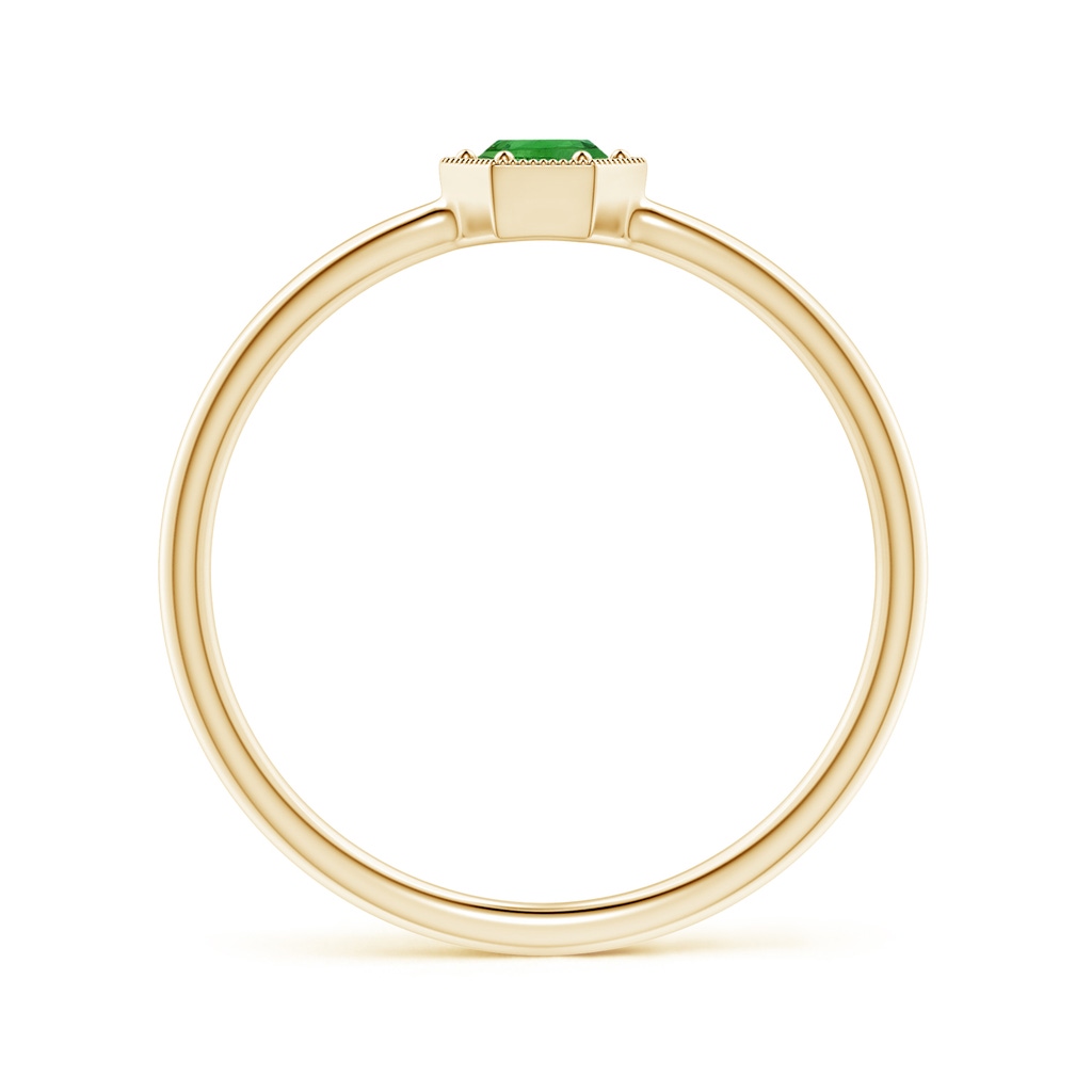 3.8mm AAAA Pavé Set Tsavorite Hexagon Solitaire Ring with Milgrain in Yellow Gold - side 199