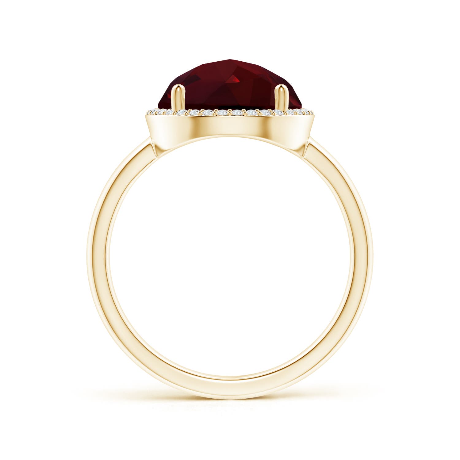 AAA - Garnet / 4.99 CT / 14 KT Yellow Gold