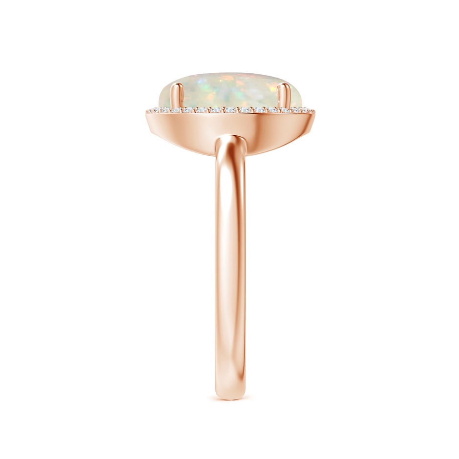 10mm AAA Round Opal Cocktail Ring with Diamond Halo in Rose Gold side-2