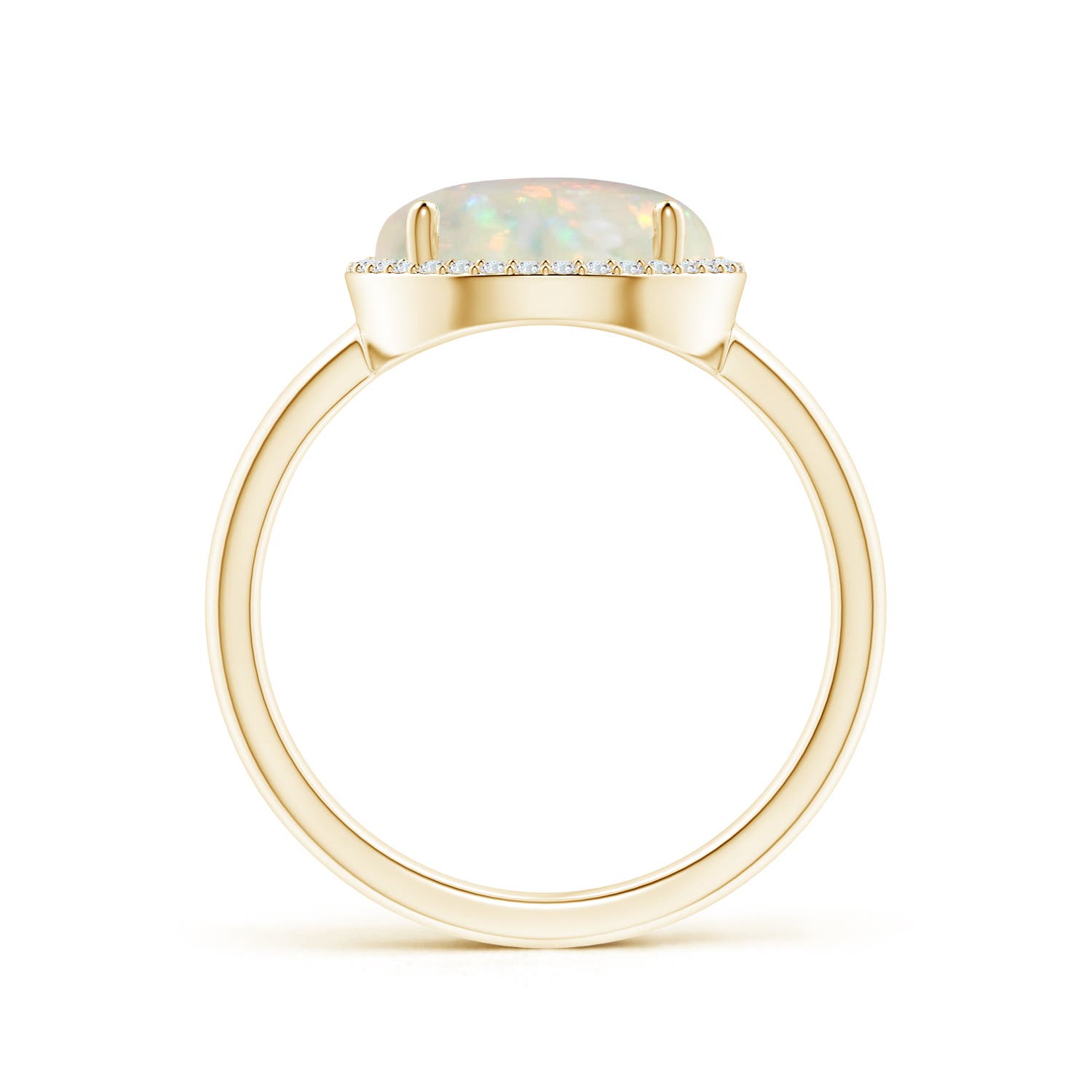 AAA - Opal / 2 CT / 14 KT Yellow Gold