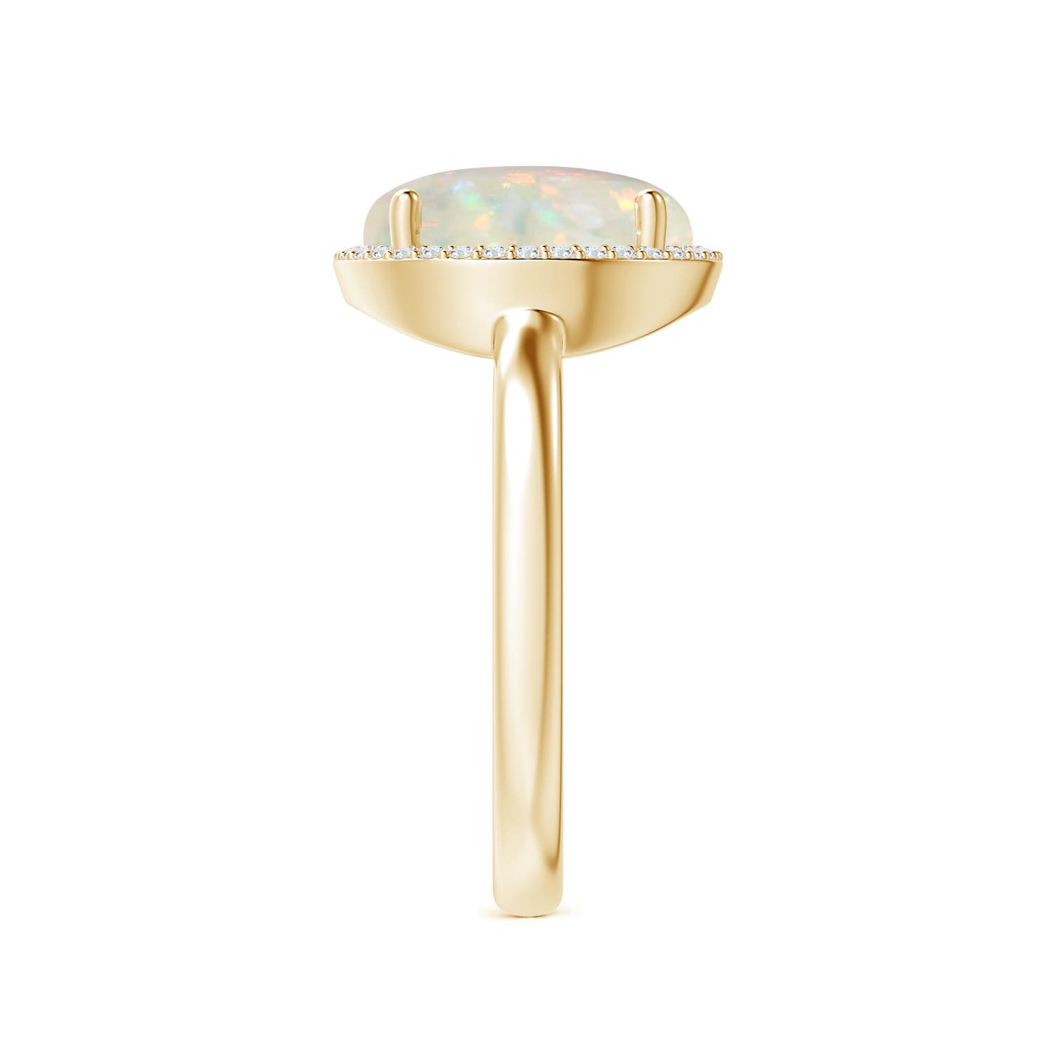 AAA - Opal / 2 CT / 14 KT Yellow Gold