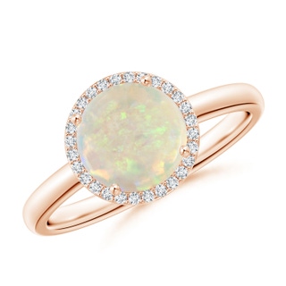 8mm AAA Round Opal Cocktail Ring with Diamond Halo in 9K Rose Gold