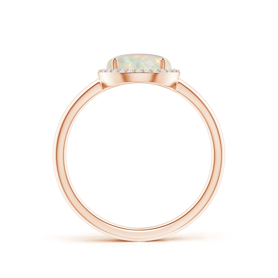 8mm AAA Round Opal Cocktail Ring with Diamond Halo in 9K Rose Gold side-1