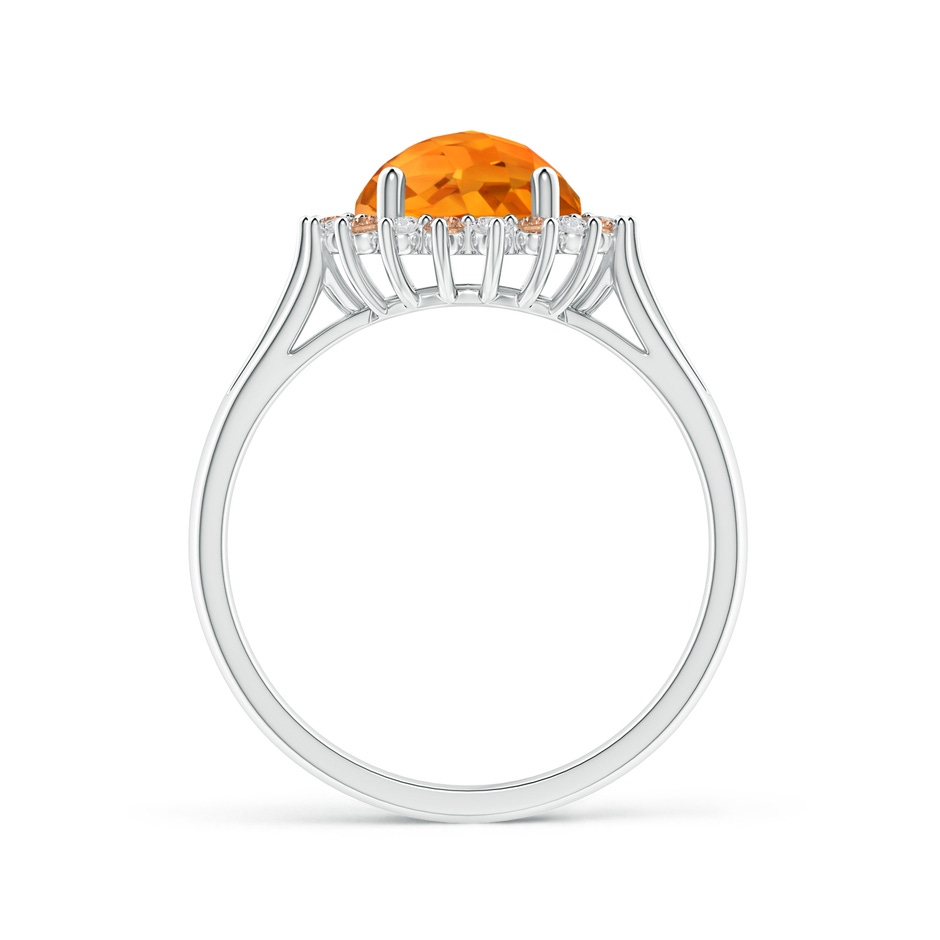 8mm AAA Round Citrine Triple Split Shank Ring with Alternating Halo in White Gold side-1