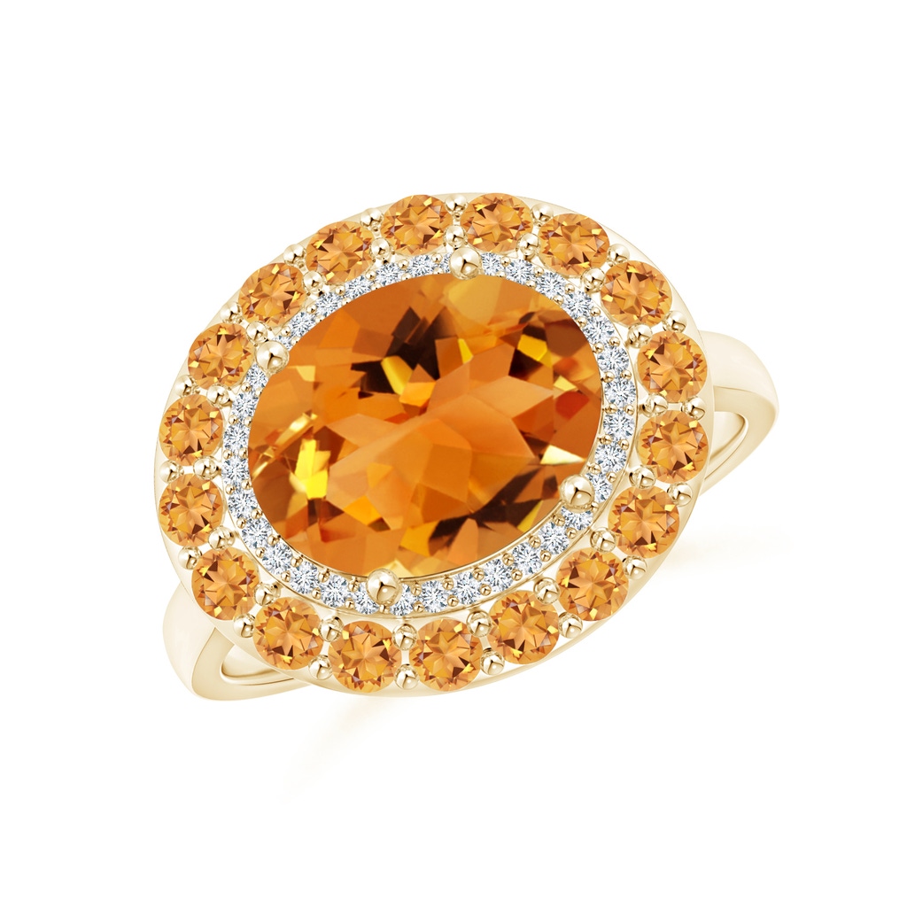 10x8mm AAA Sideways Oval Citrine Double Halo Cocktail Ring in Yellow Gold