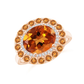 10x8mm AAAA Sideways Oval Citrine Double Halo Cocktail Ring in Rose Gold
