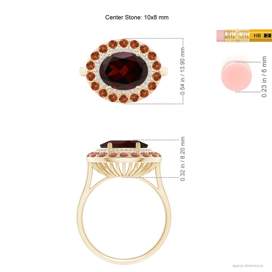 10x8mm A Sideways Oval Garnet Double Halo Cocktail Ring in Yellow Gold ruler