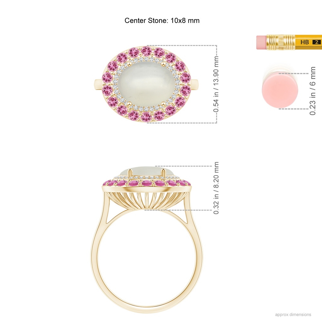 10x8mm AAA Sideways Oval Moonstone Double Halo Cocktail Ring in Yellow Gold Ruler