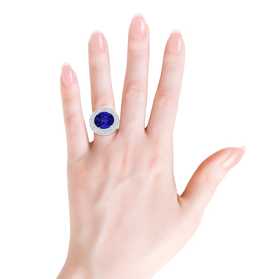 15.67x12.90x9.18mm AAAA Sideways GIA Certified Oval Tanzanite Double Halo Ring in White Gold Product Image