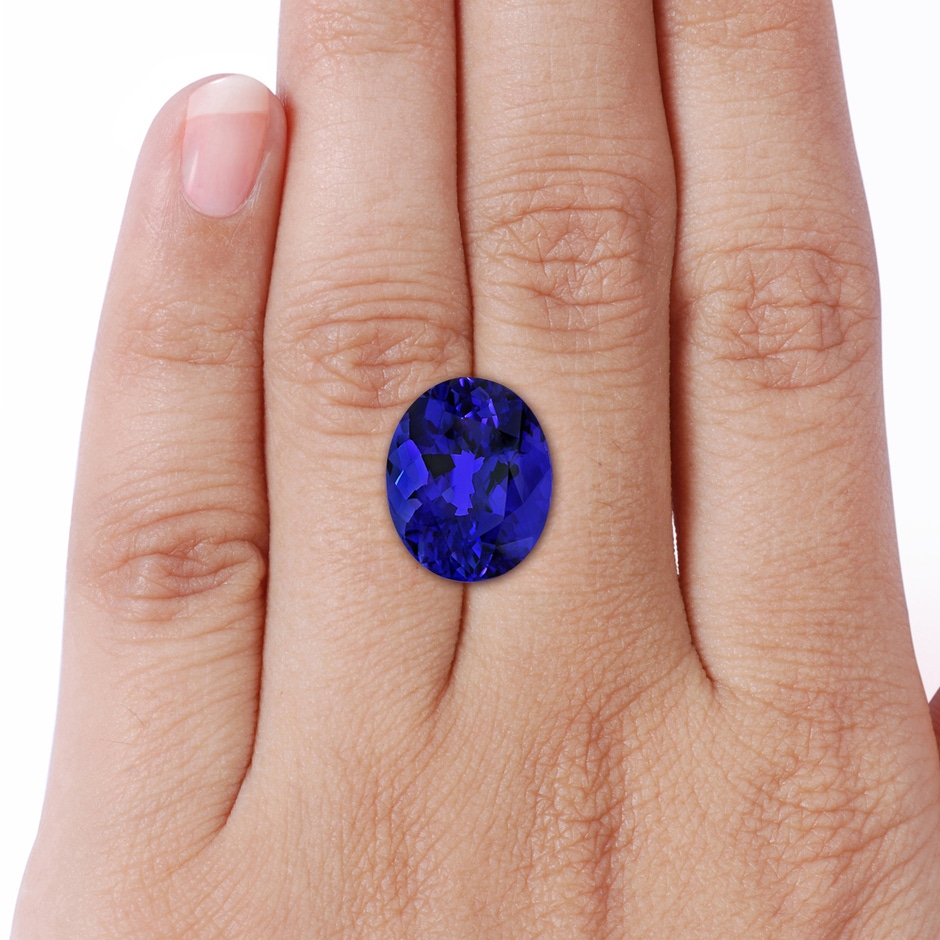 15.67x12.90x9.18mm AAAA Sideways GIA Certified Oval Tanzanite Double Halo Ring in White Gold Product Image