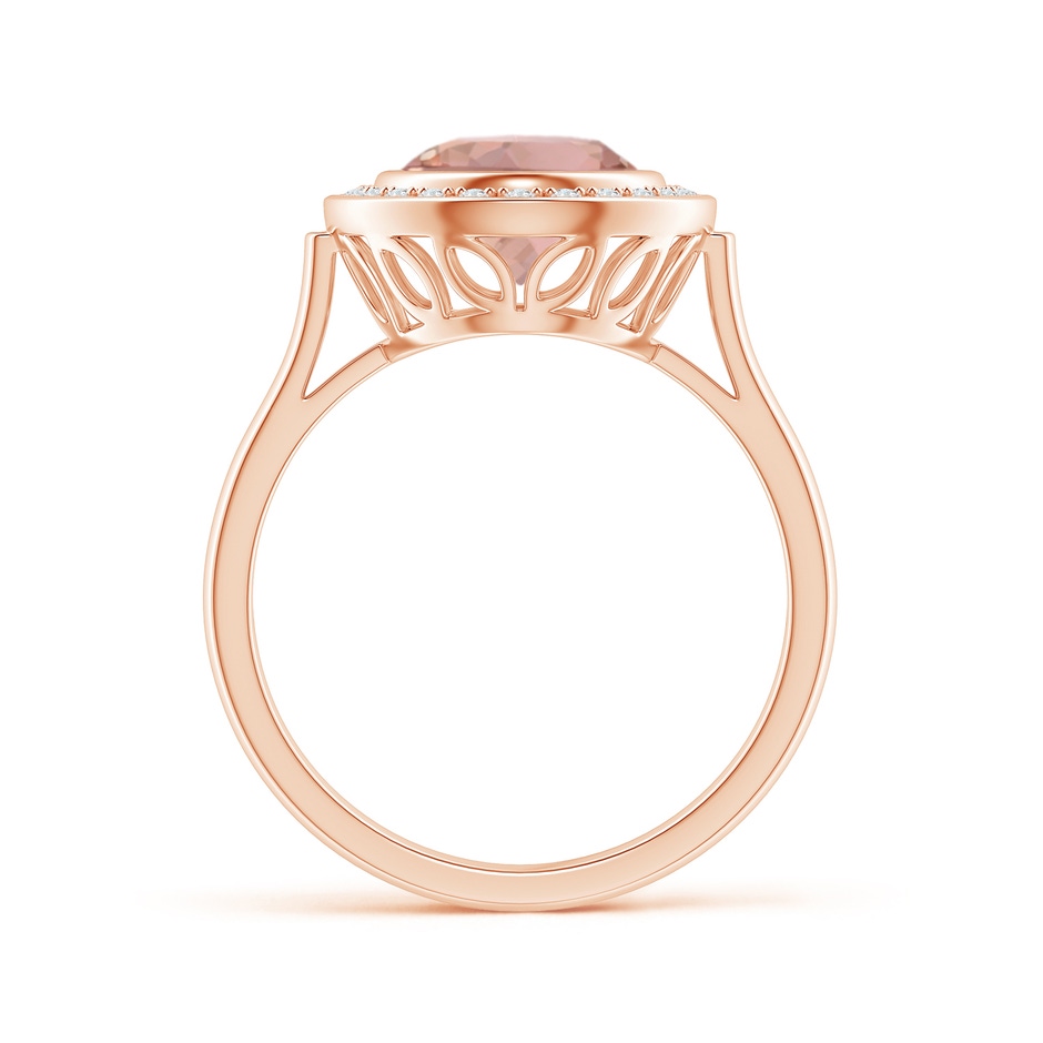 10x8mm AAAA Bezel-Set Oval Morganite Ring with Diamond Halo in Rose Gold product image