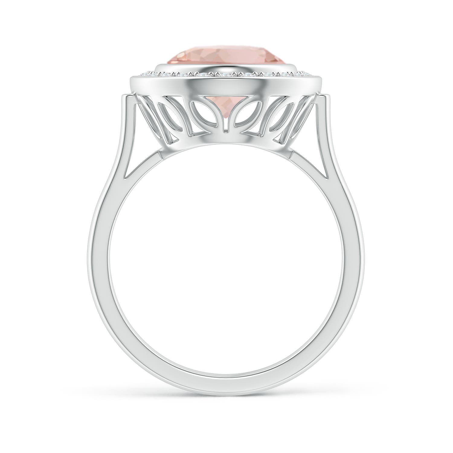 AAA - Morganite / 3.64 CT / 14 KT White Gold