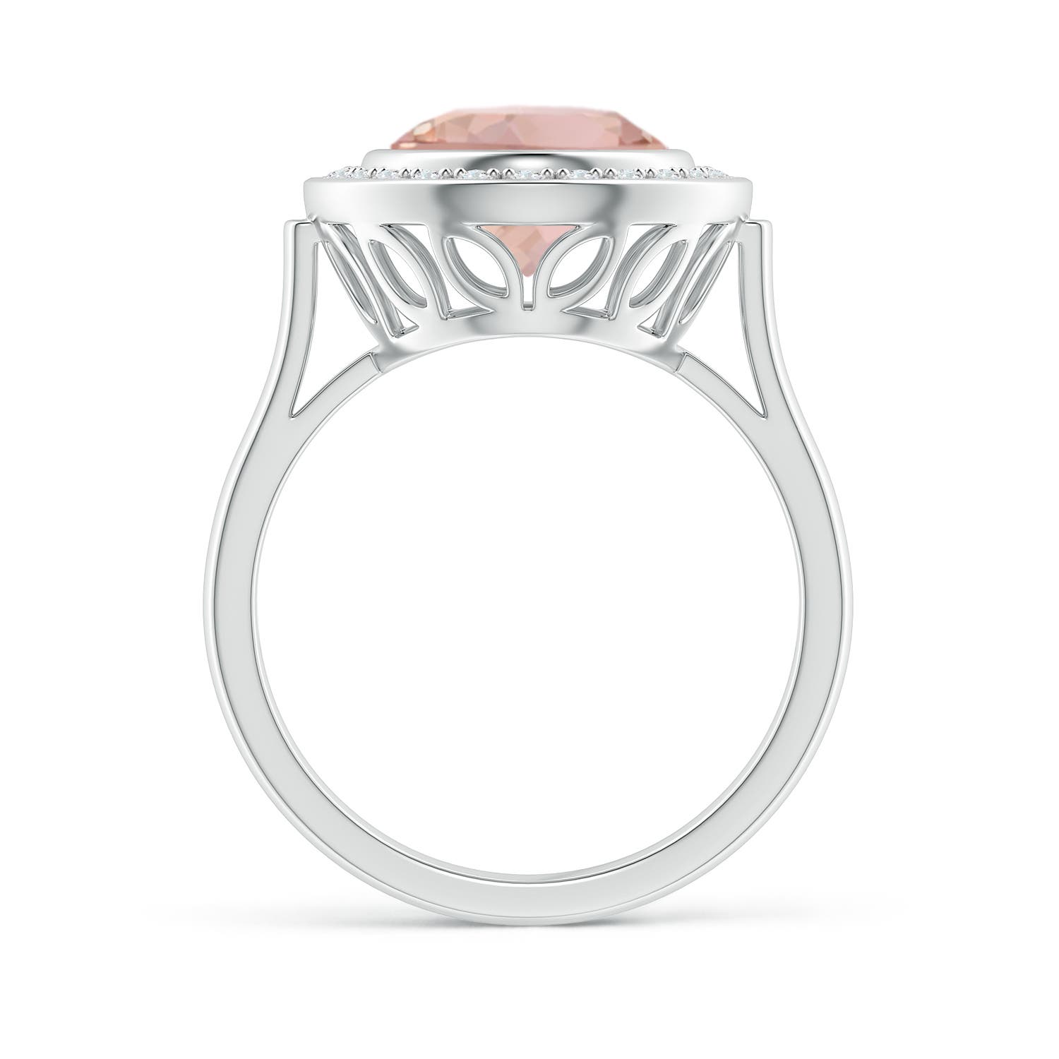 AAAA - Morganite / 3.64 CT / 14 KT White Gold