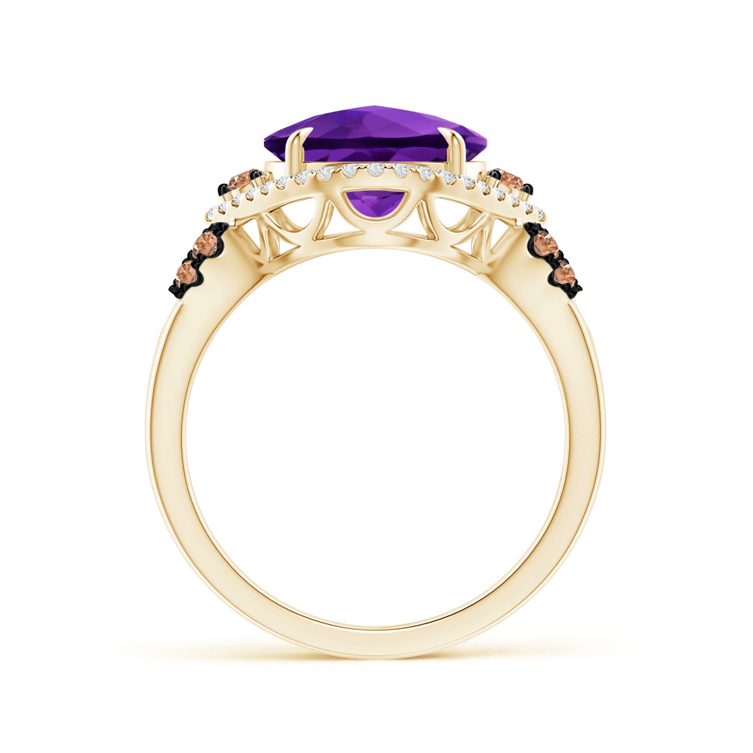 AAAA - Amethyst / 4.05 CT / 14 KT Yellow Gold