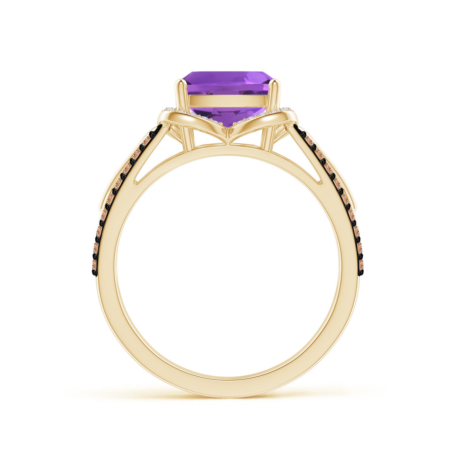 AAA - Amethyst / 2.6 CT / 14 KT Yellow Gold