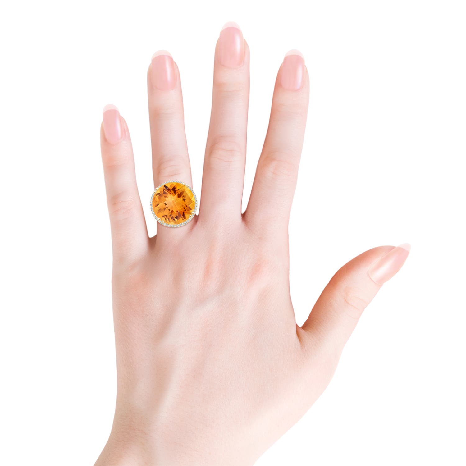 AAA - Citrine / 29.26 CT / 14 KT Yellow Gold