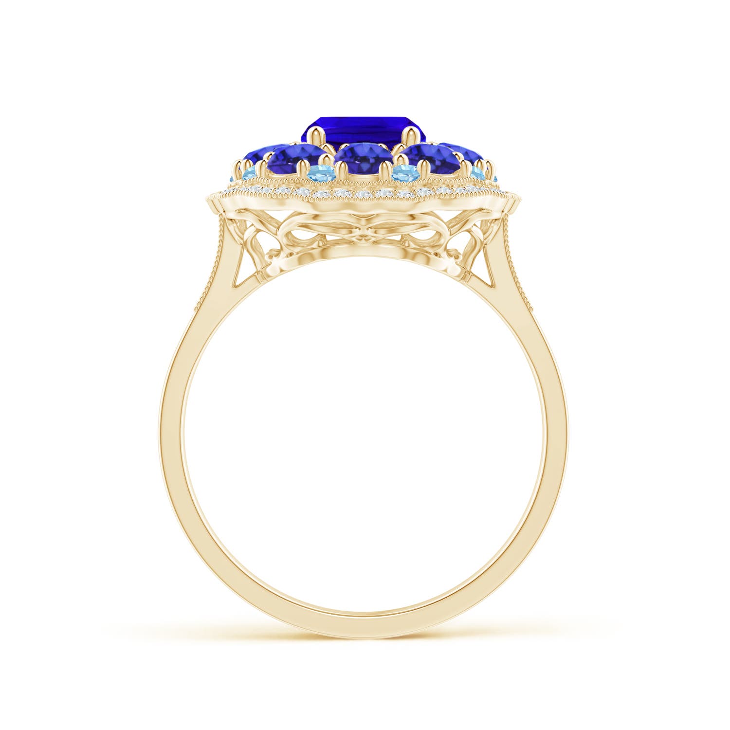 AAAA - Tanzanite / 2.95 CT / 14 KT Yellow Gold