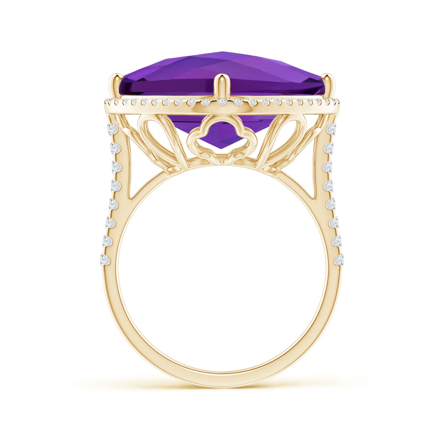 AAAA - Amethyst / 13.89 CT / 14 KT Yellow Gold