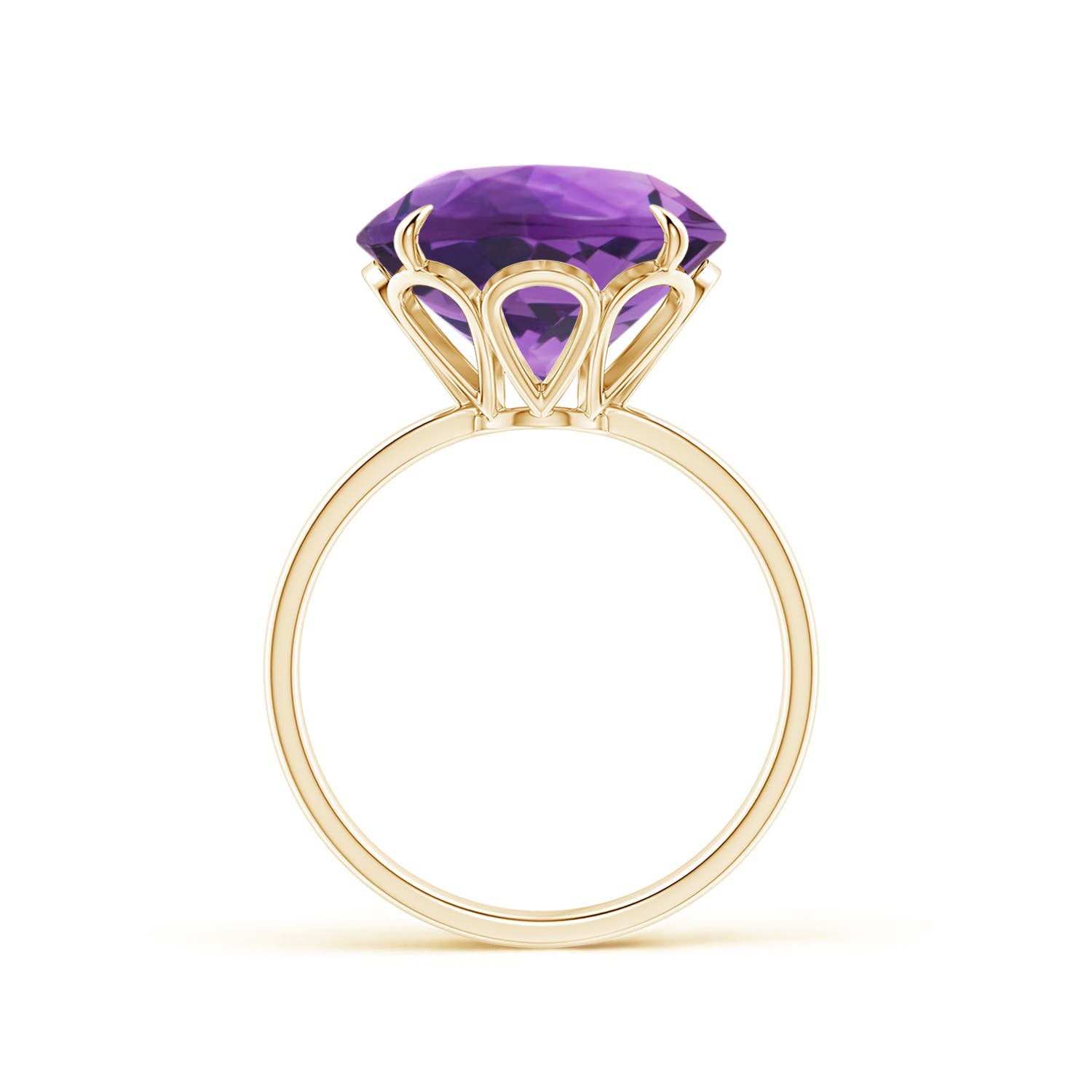 AAA - Amethyst / 7.2 CT / 14 KT Yellow Gold