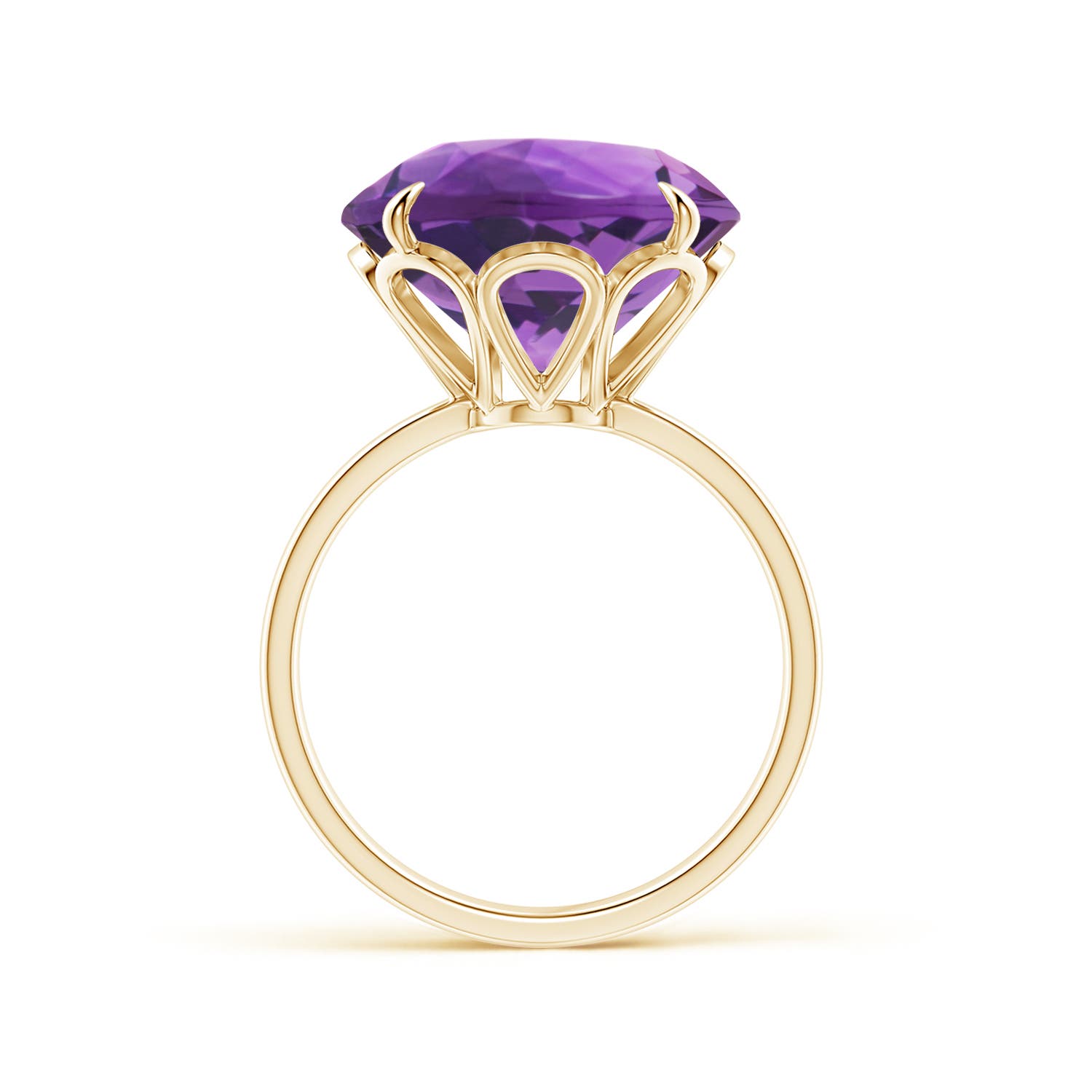 AAA- Amethyst / 8.5 CT / 14 KT Yellow Gold