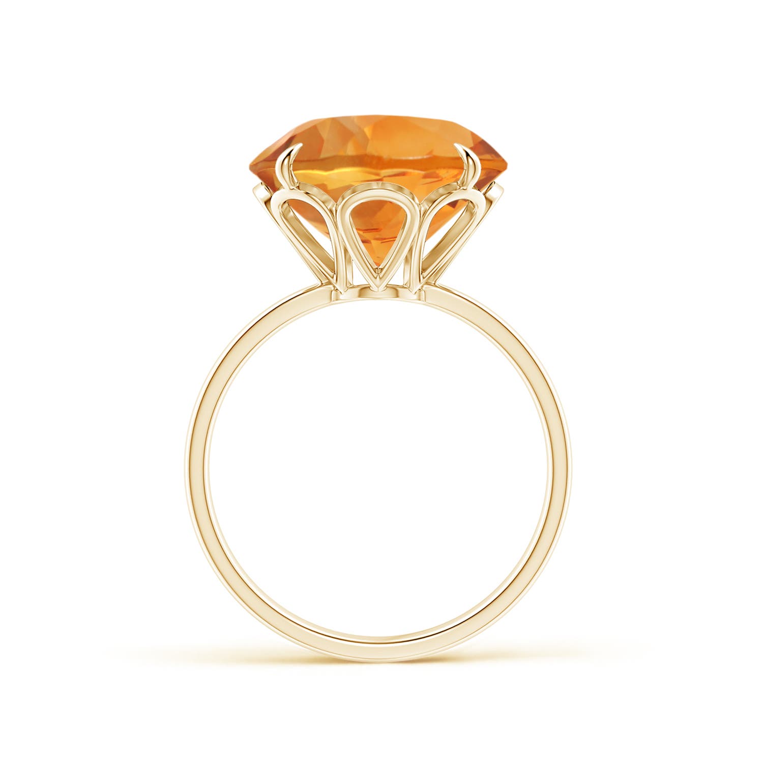 AAA - Citrine / 7.2 CT / 14 KT Yellow Gold