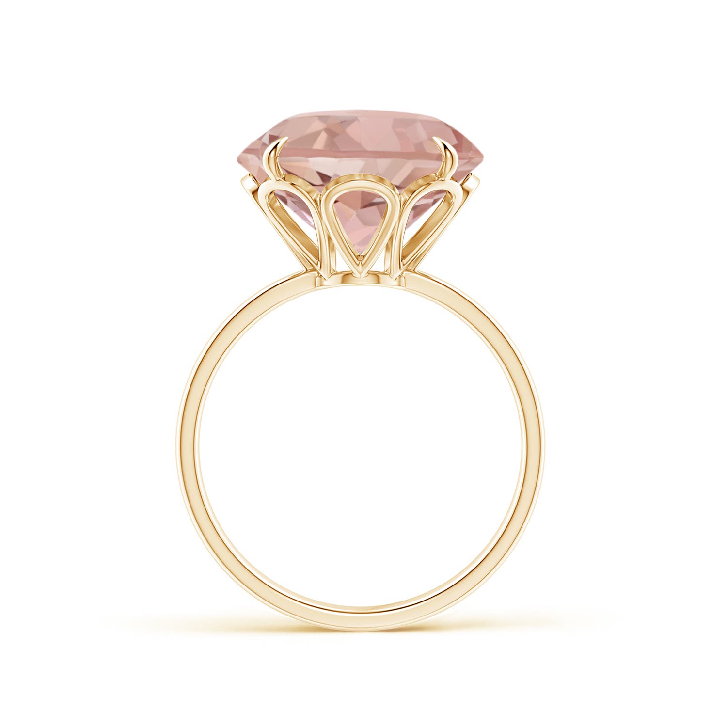 AAAA - Morganite / 5.1 CT / 14 KT Yellow Gold