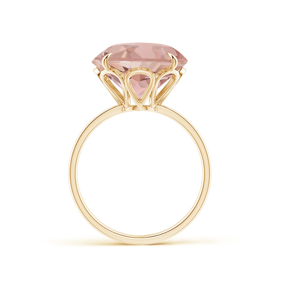 12mm AAAA Claw-Set Round Morganite Cocktail Ring in Yellow Gold product image