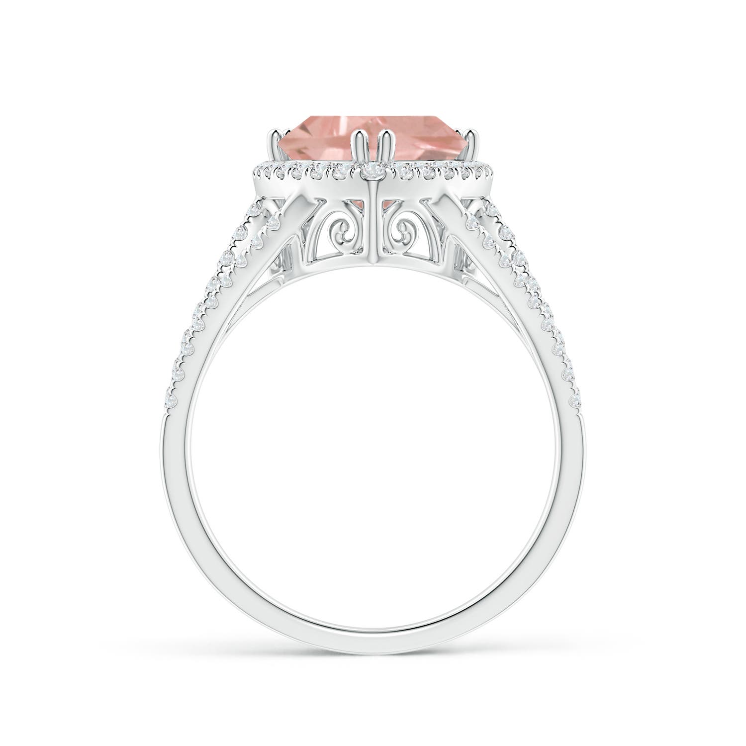 AAA - Morganite / 2.36 CT / 14 KT White Gold