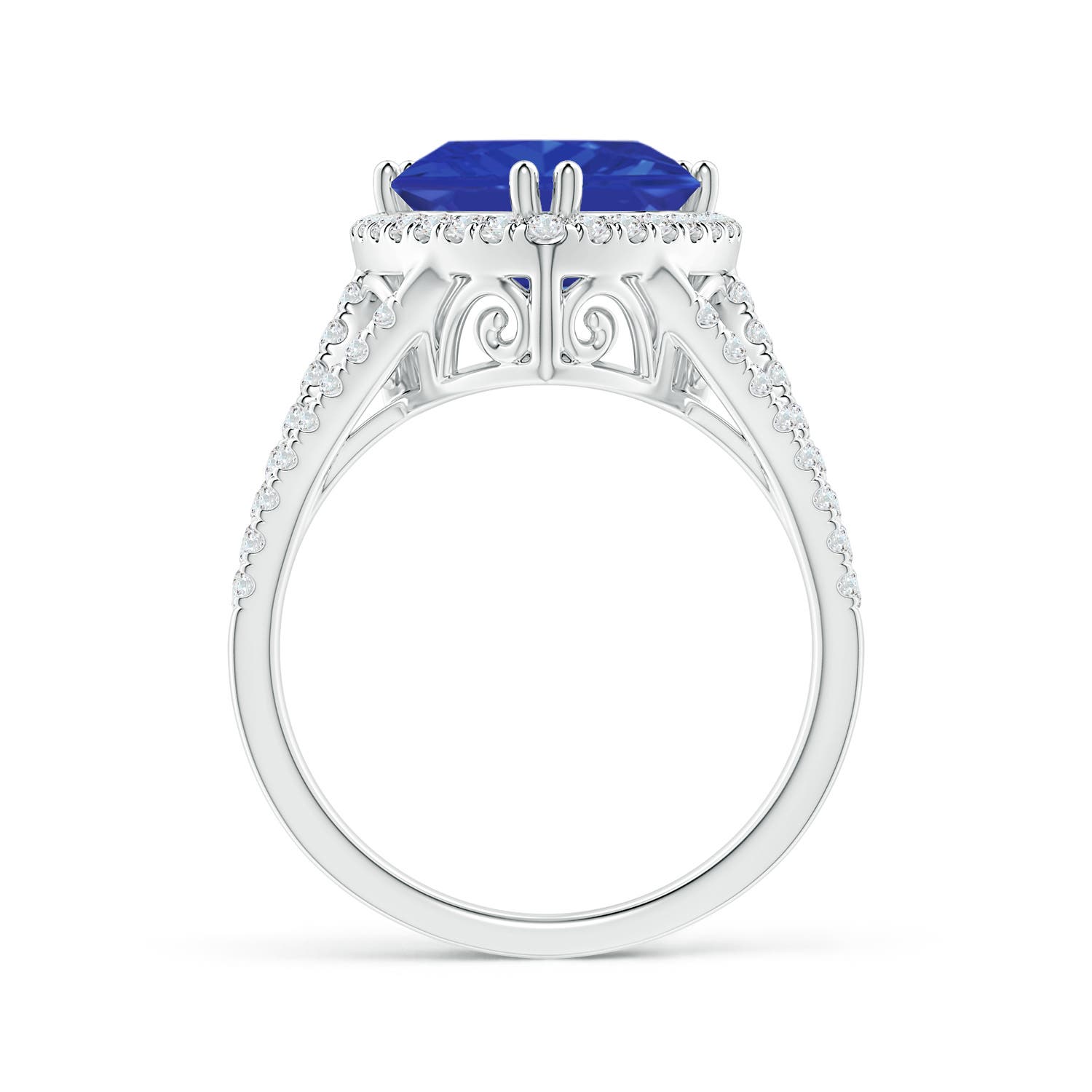 AAA - Tanzanite / 3.56 CT / 14 KT White Gold