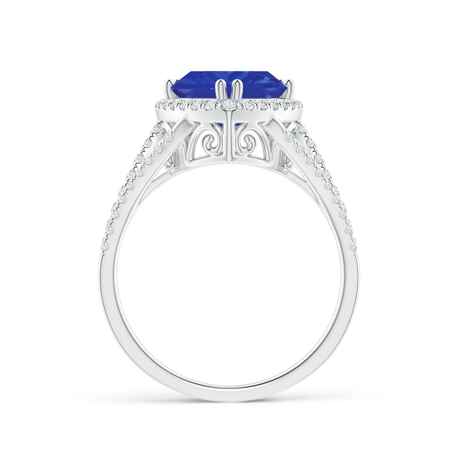 AAA - Tanzanite / 2.91 CT / 14 KT White Gold