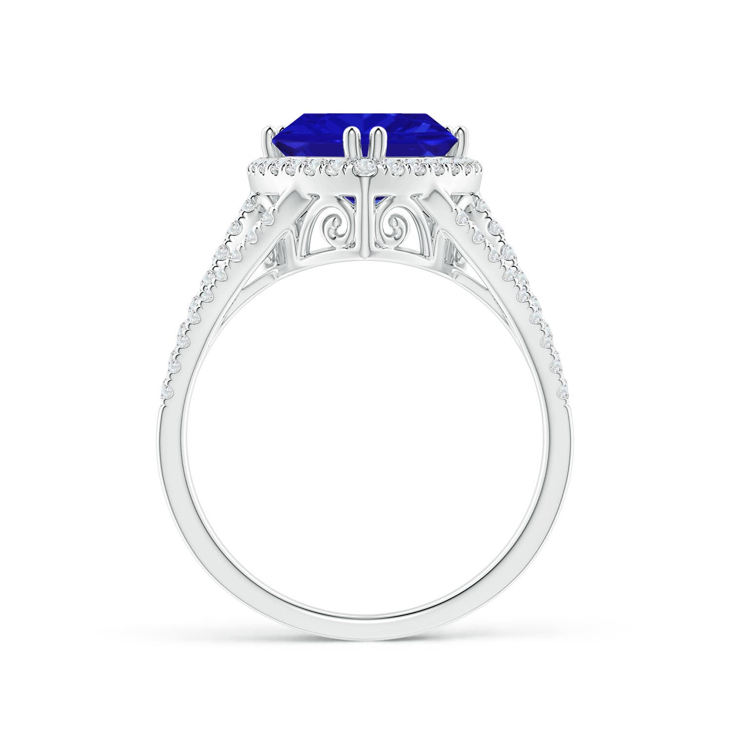 AAAA - Tanzanite / 2.91 CT / 14 KT White Gold