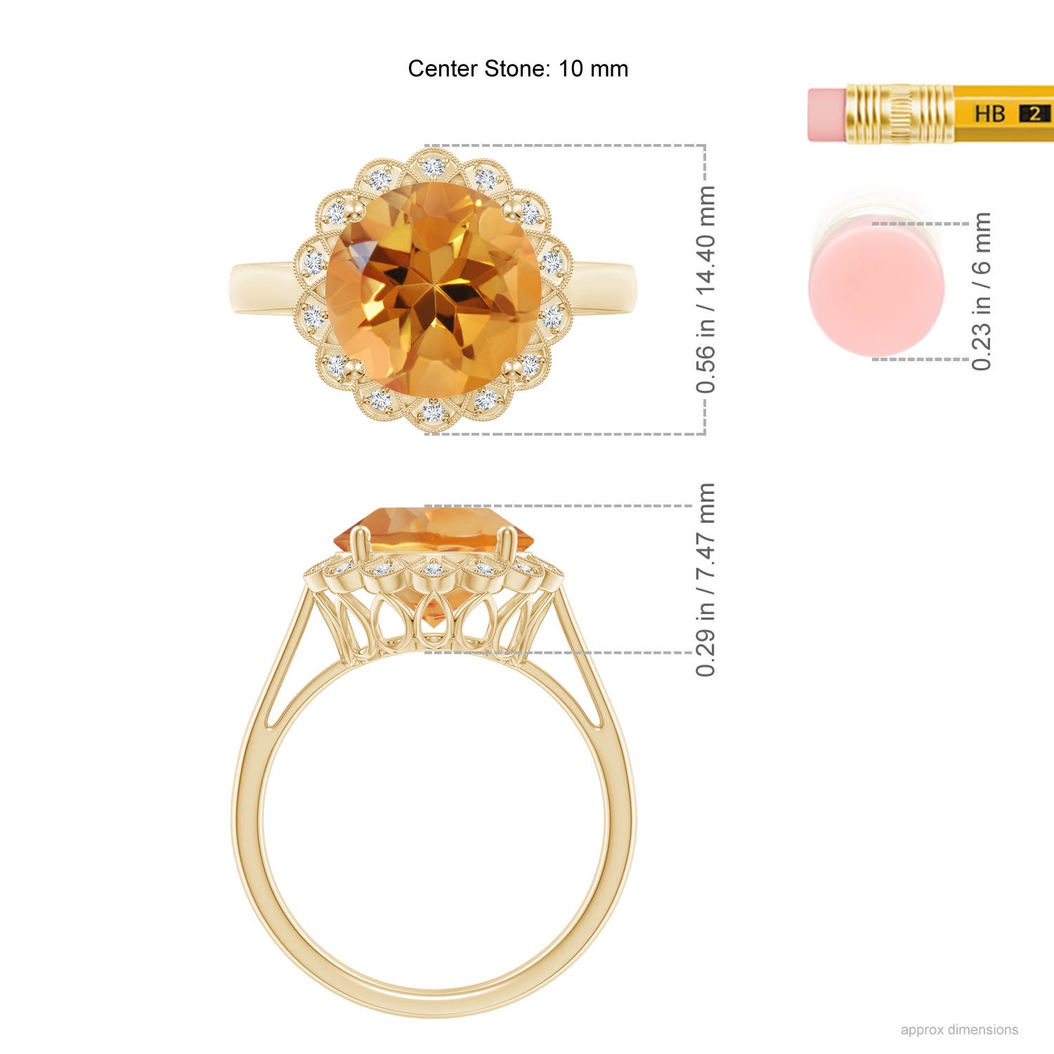 AA - Citrine / 3.28 CT / 14 KT Yellow Gold