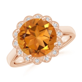 10mm AAA Citrine Scalloped Halo Ring in Rose Gold