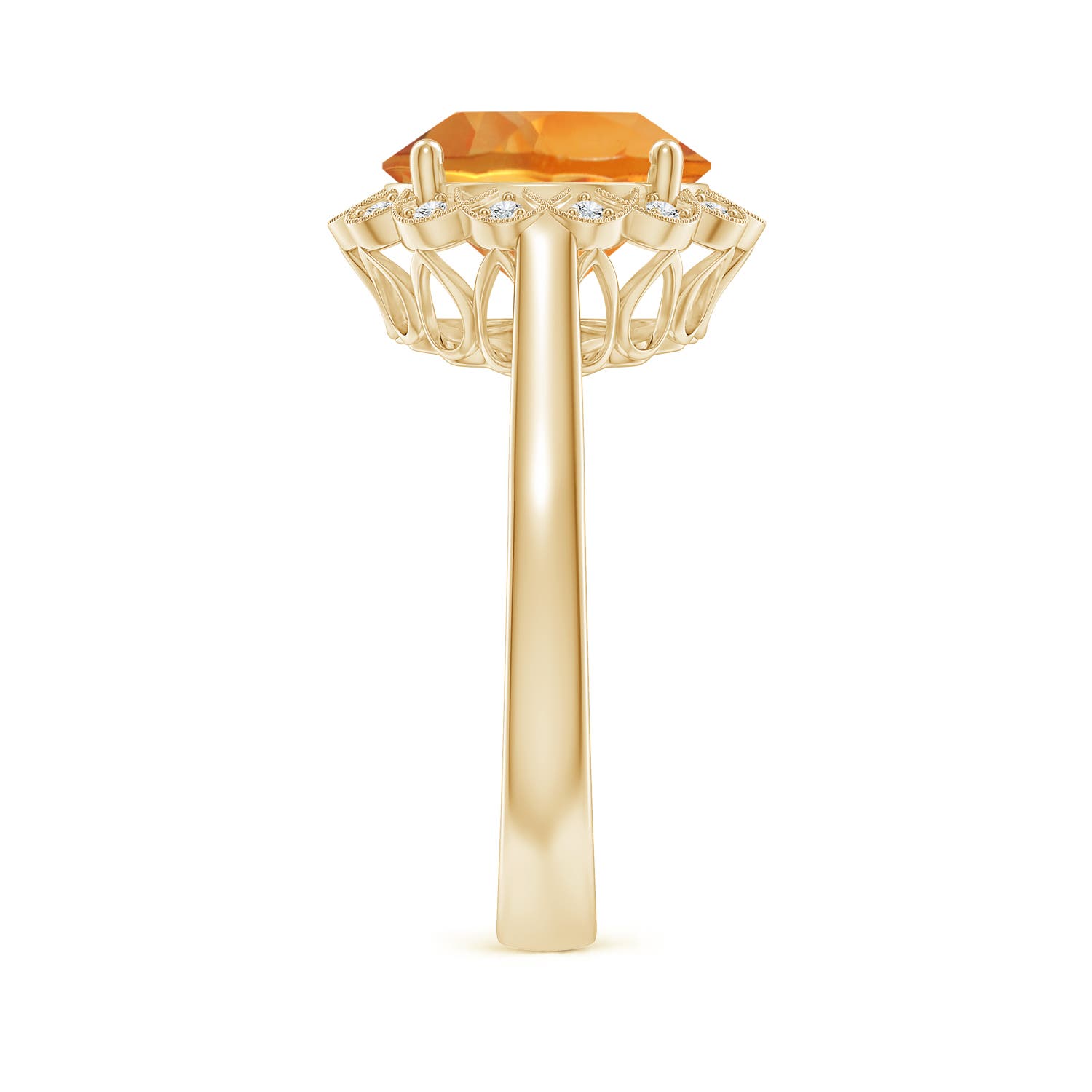 AAA - Citrine / 3.28 CT / 14 KT Yellow Gold