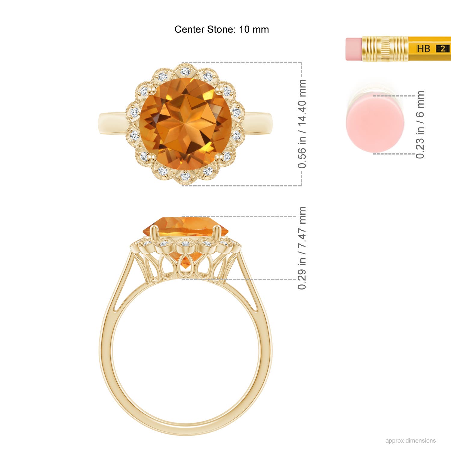 AAA - Citrine / 3.28 CT / 14 KT Yellow Gold