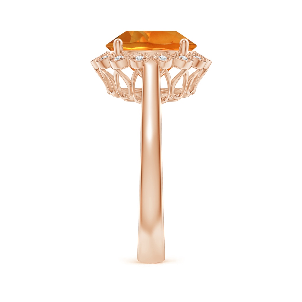 10mm AAAA Citrine Scalloped Halo Ring in Rose Gold Side-2