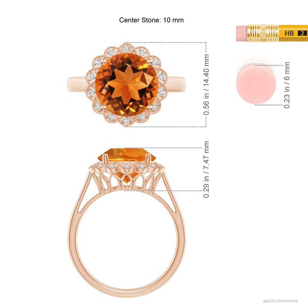 10mm AAAA Citrine Scalloped Halo Ring in Rose Gold Ruler