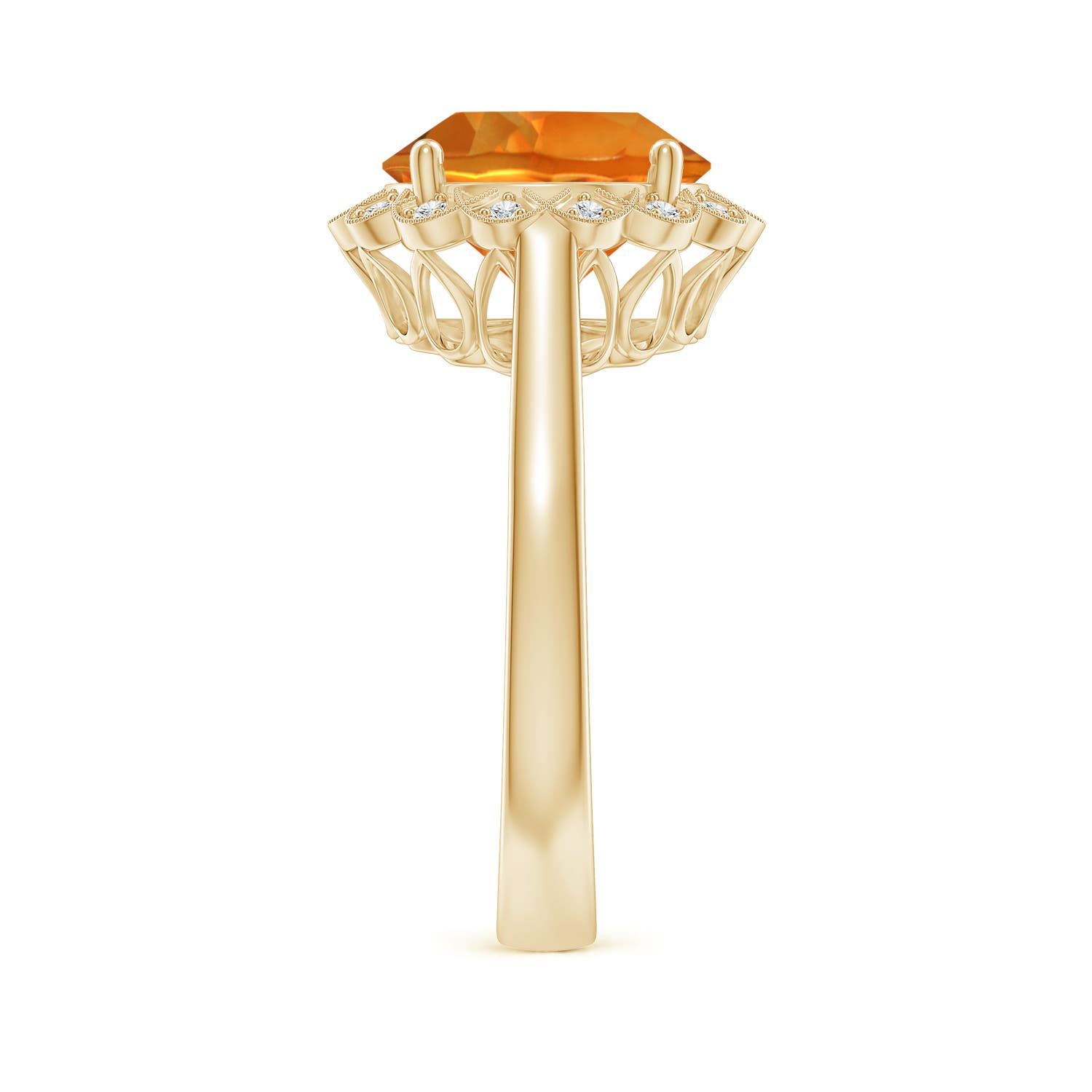 AAAA - Citrine / 3.28 CT / 14 KT Yellow Gold