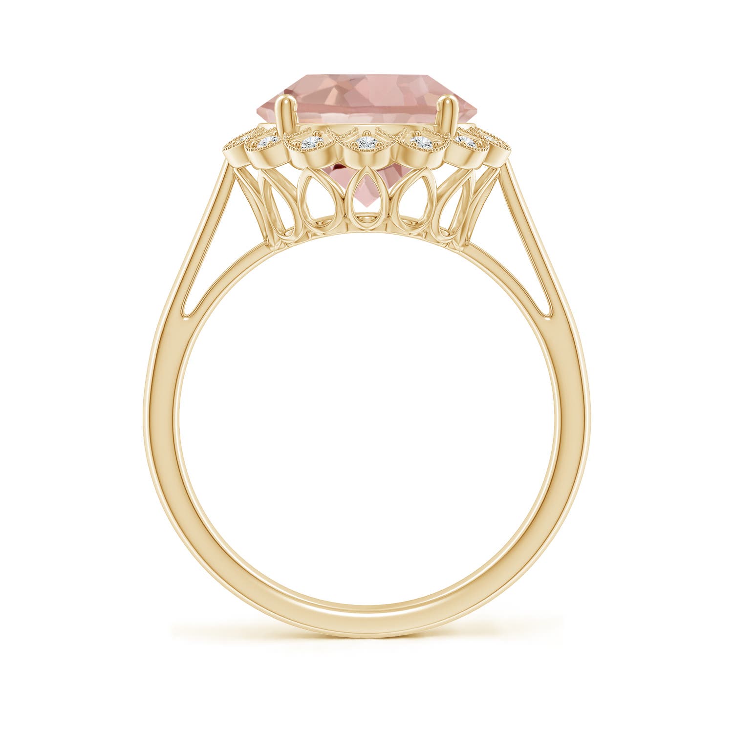 AAA - Morganite / 3.48 CT / 14 KT Yellow Gold