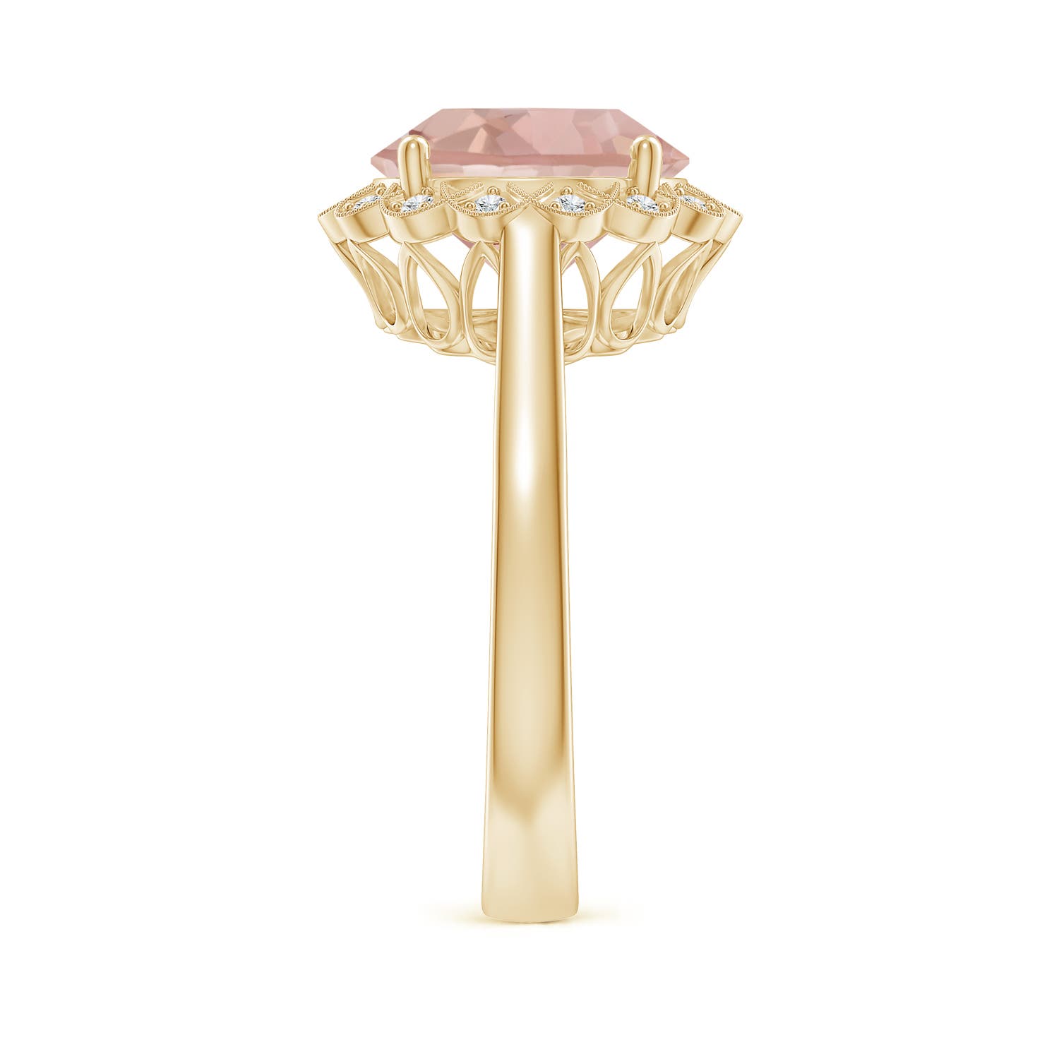 AAA - Morganite / 3.48 CT / 14 KT Yellow Gold